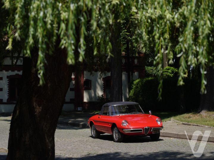 Alfa Romeo Spider (1967)
