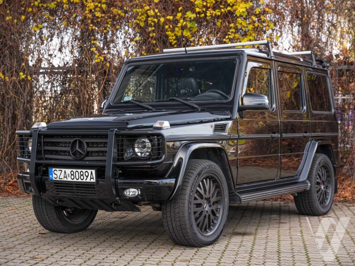Mercedes-Benz Klasa G (2010)