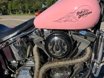 Harley-Davidson FXSTC SOFTAIL CUSTOM (2000) Zdjęcia z zewnątrz