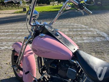Harley-Davidson FXSTC SOFTAIL CUSTOM (2000) Zdjęcia z zewnątrz
