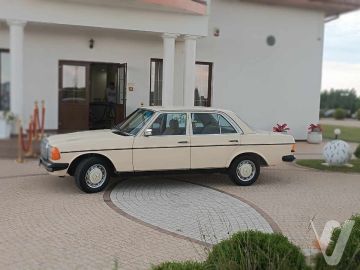 Mercedes-Benz W123 (1981) Zdjęcia z zewnątrz