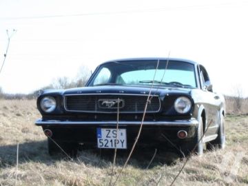 Ford Mustang (1966) Zdjęcia z zewnątrz