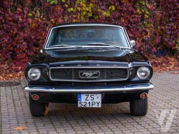 Ford Mustang (1966) Zdjęcia z zewnątrz