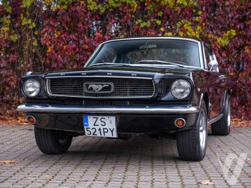 Ford Mustang (1966) Zdjęcia z zewnątrz