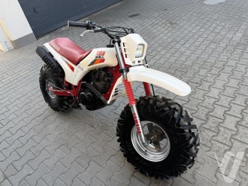 Yamaha BIG Wheel 200 (1986) Outside