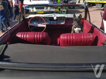 Buick Skylark (1964) Inside