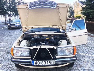 Mercedes-Benz W123 (1981) Detale