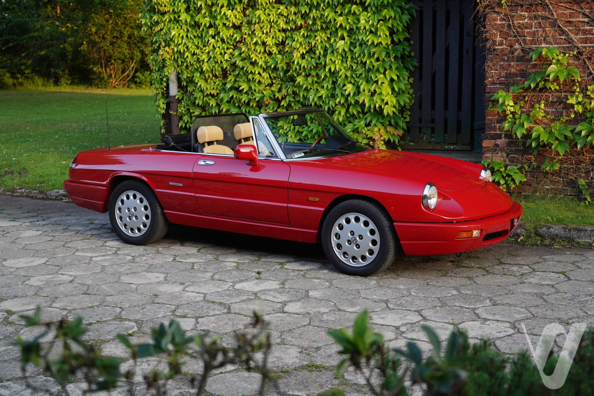 Główne zdjęcie Alfa Romeo Spider (1991)
