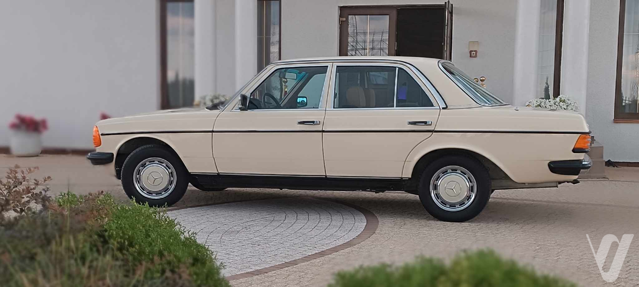 Mercedes-Benz W123 (1981) zdjęcie główne