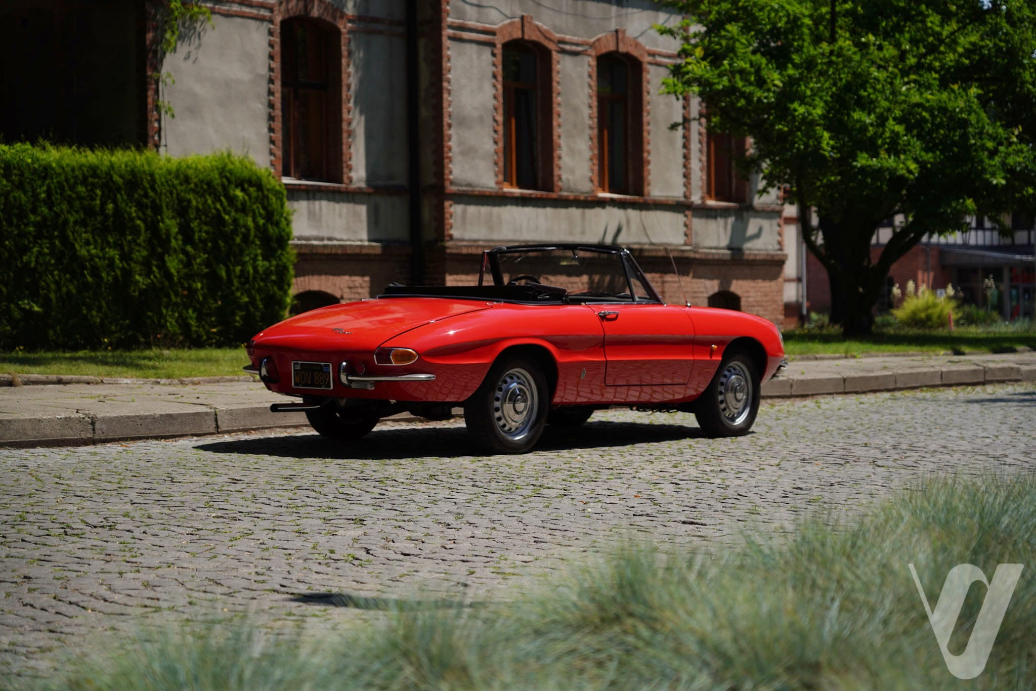 Główne zdjęcie Alfa Romeo Spider (1967)