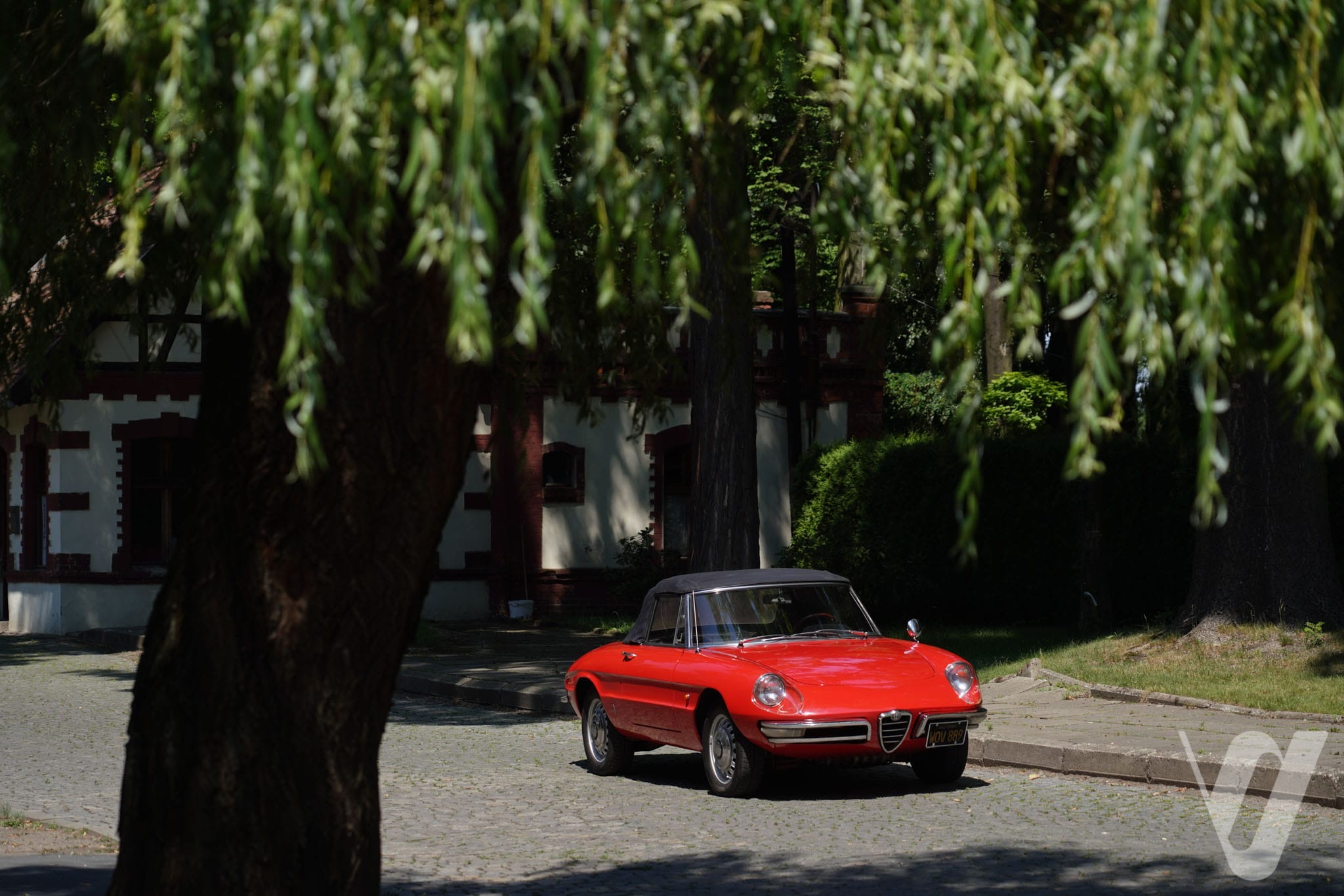 Główne zdjęcie Alfa Romeo Spider (1967)