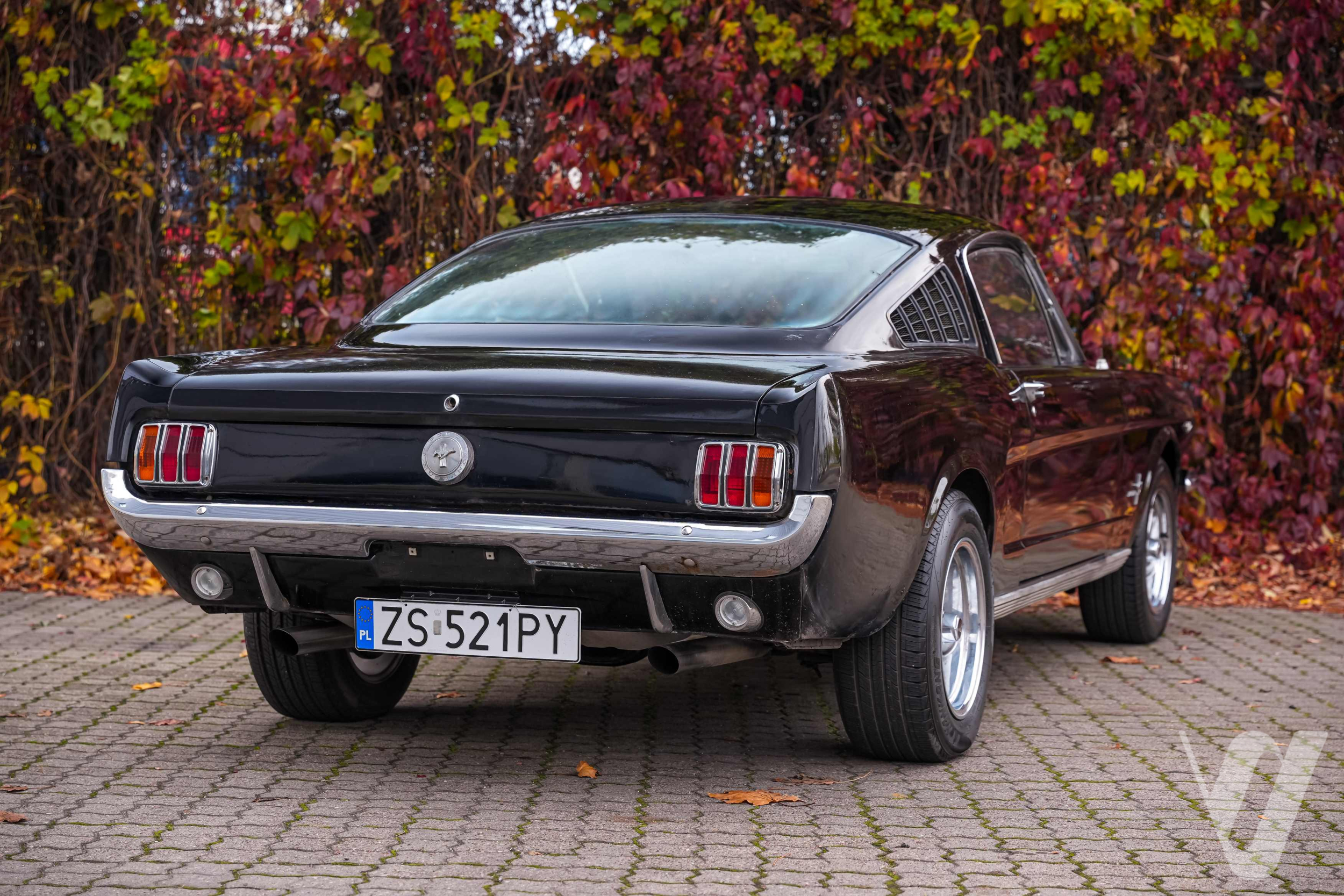 Główne zdjęcie Ford Mustang (1966)