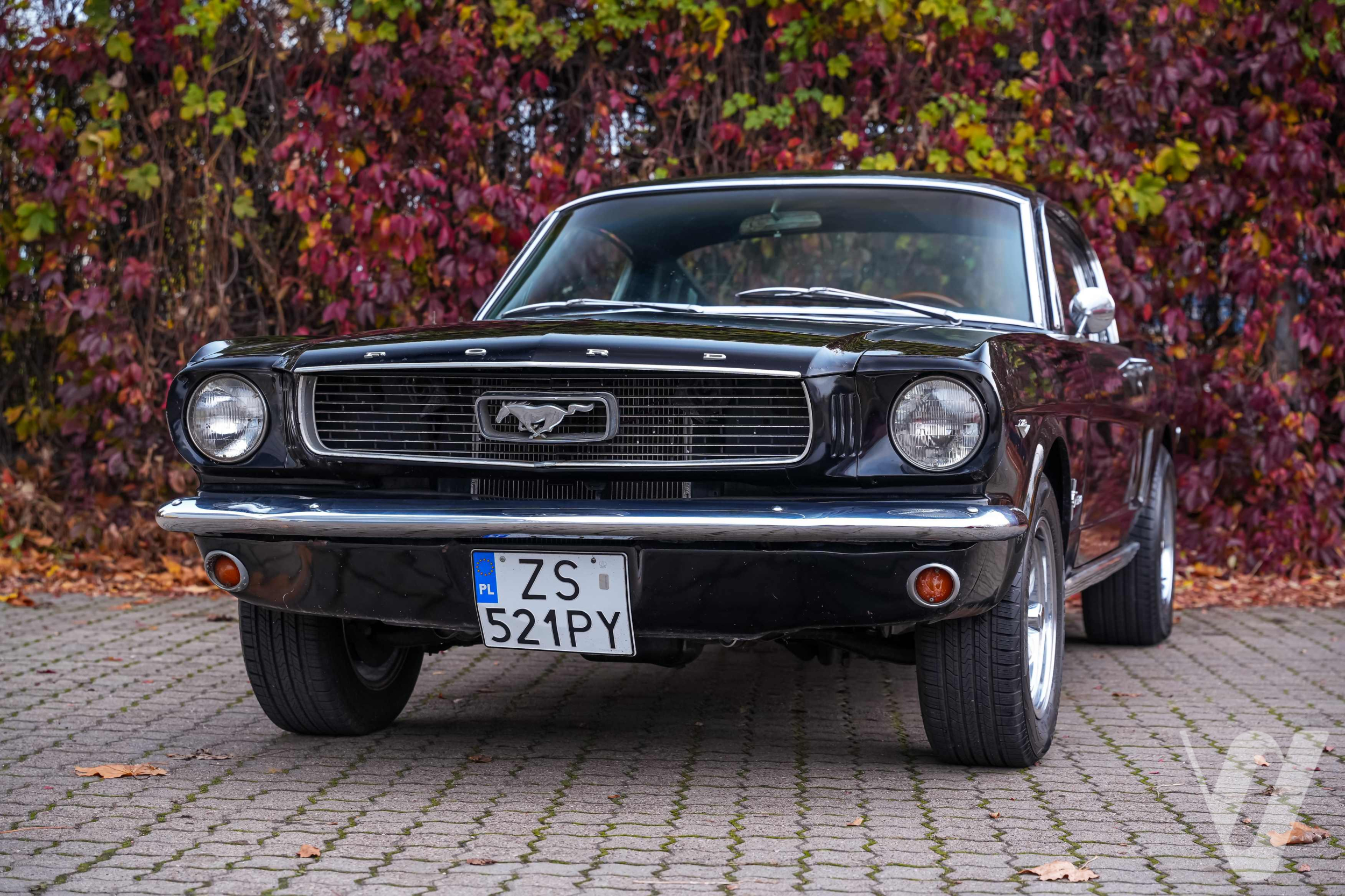 Główne zdjęcie Ford Mustang (1966)