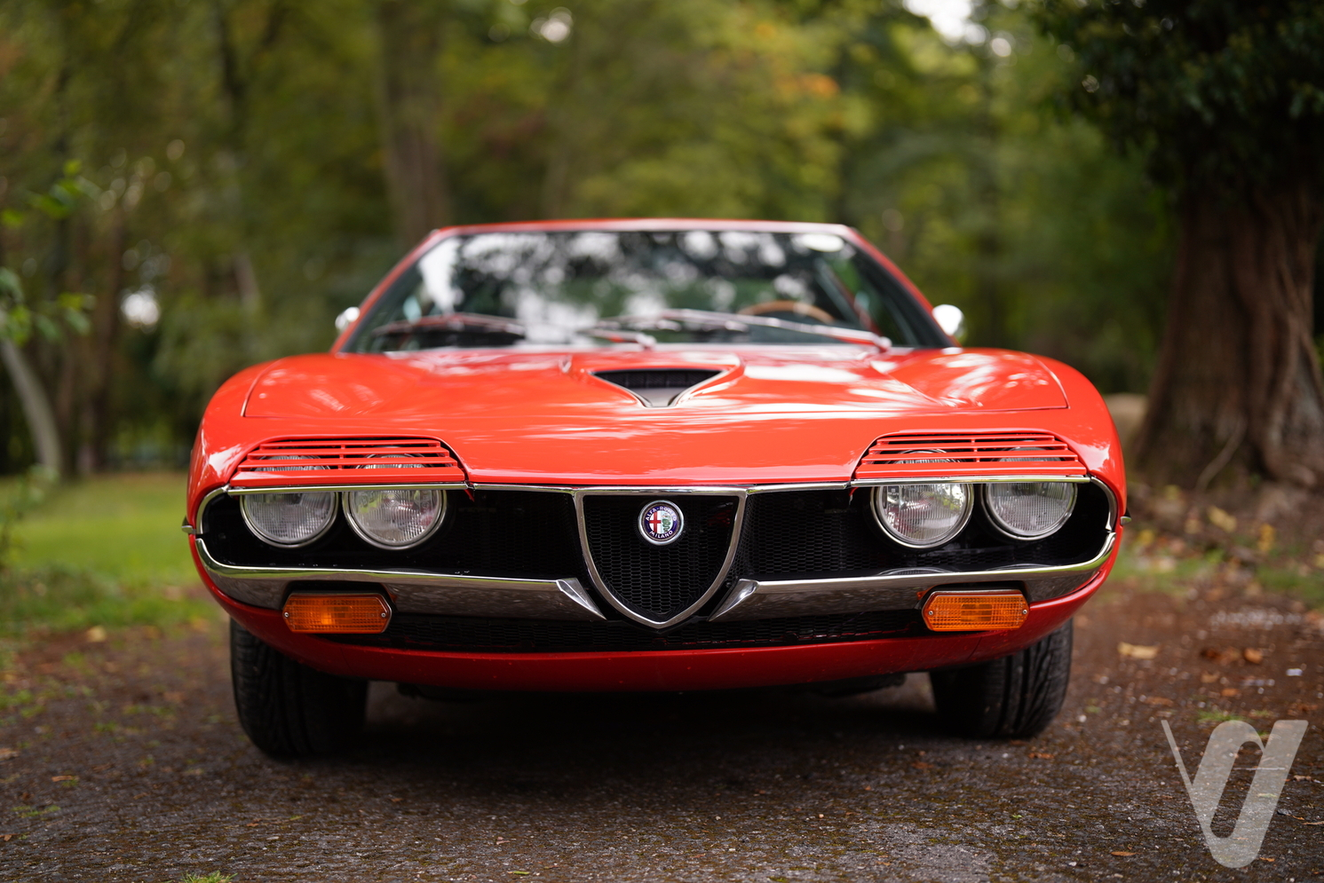 Alfa Romeo Montreal (1972) zdjęcie główne