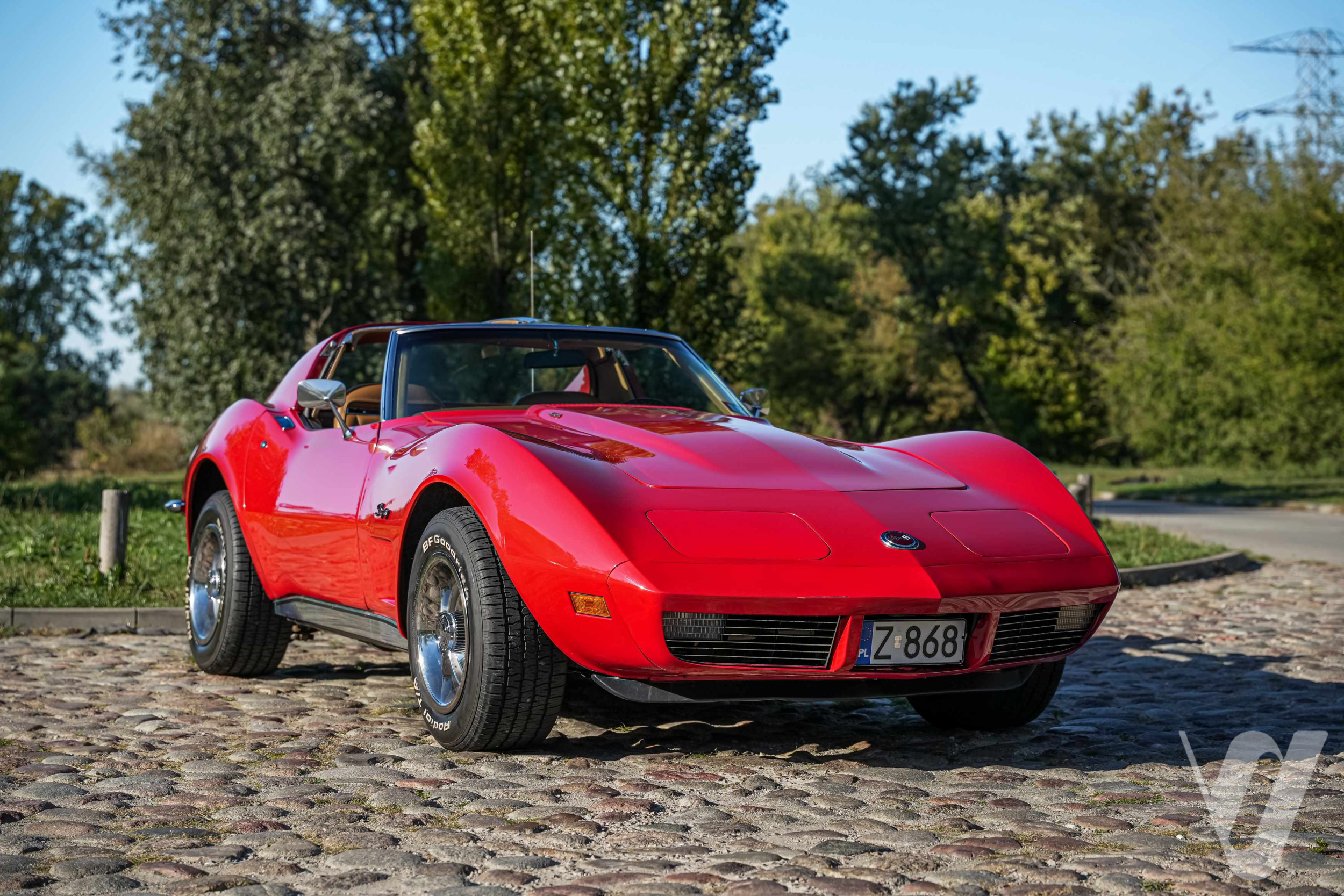 Główne zdjęcie Chevrolet Corvette (1973)