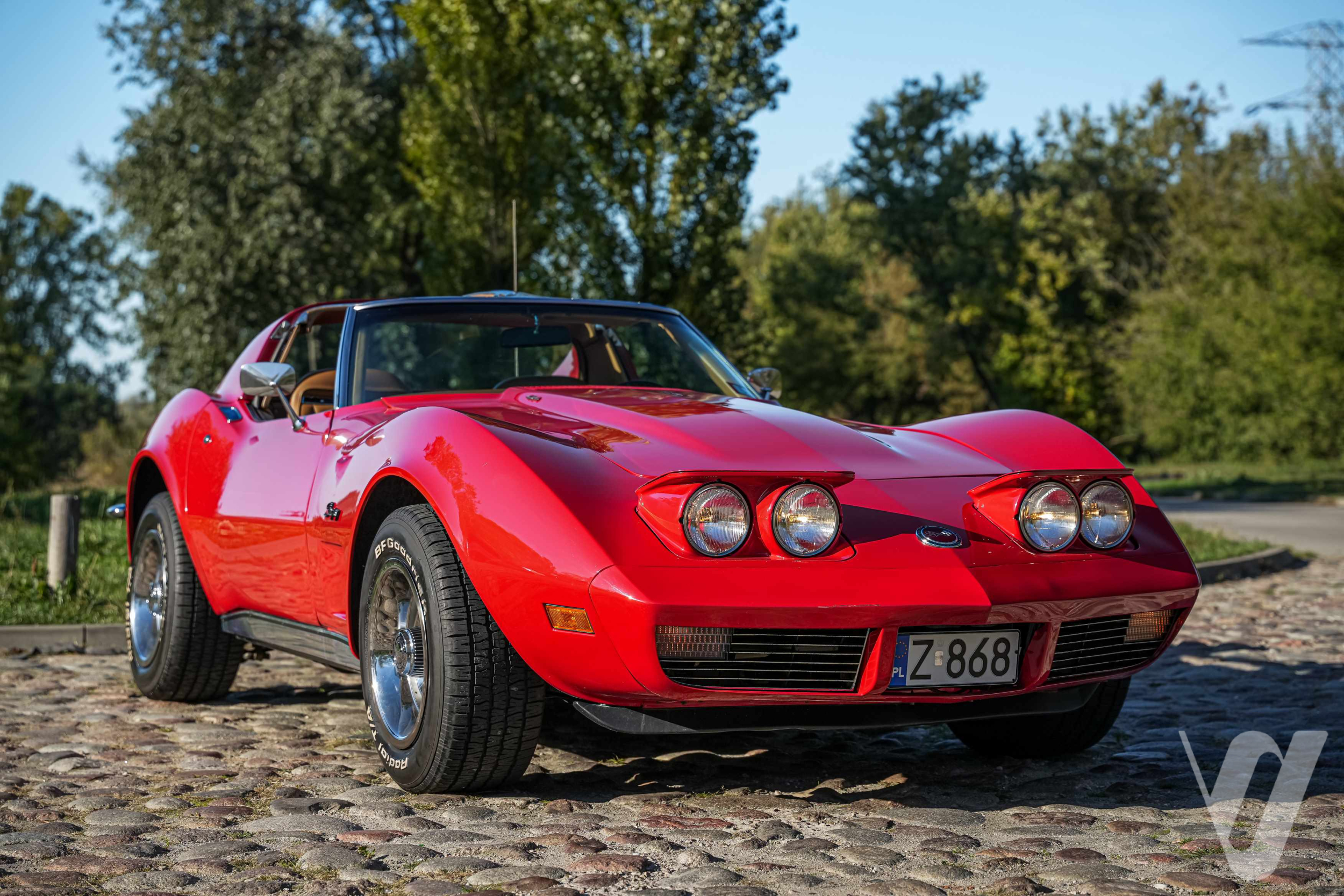 Główne zdjęcie Chevrolet Corvette (1973)