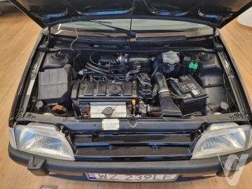 Citroën AX (1991) Detale