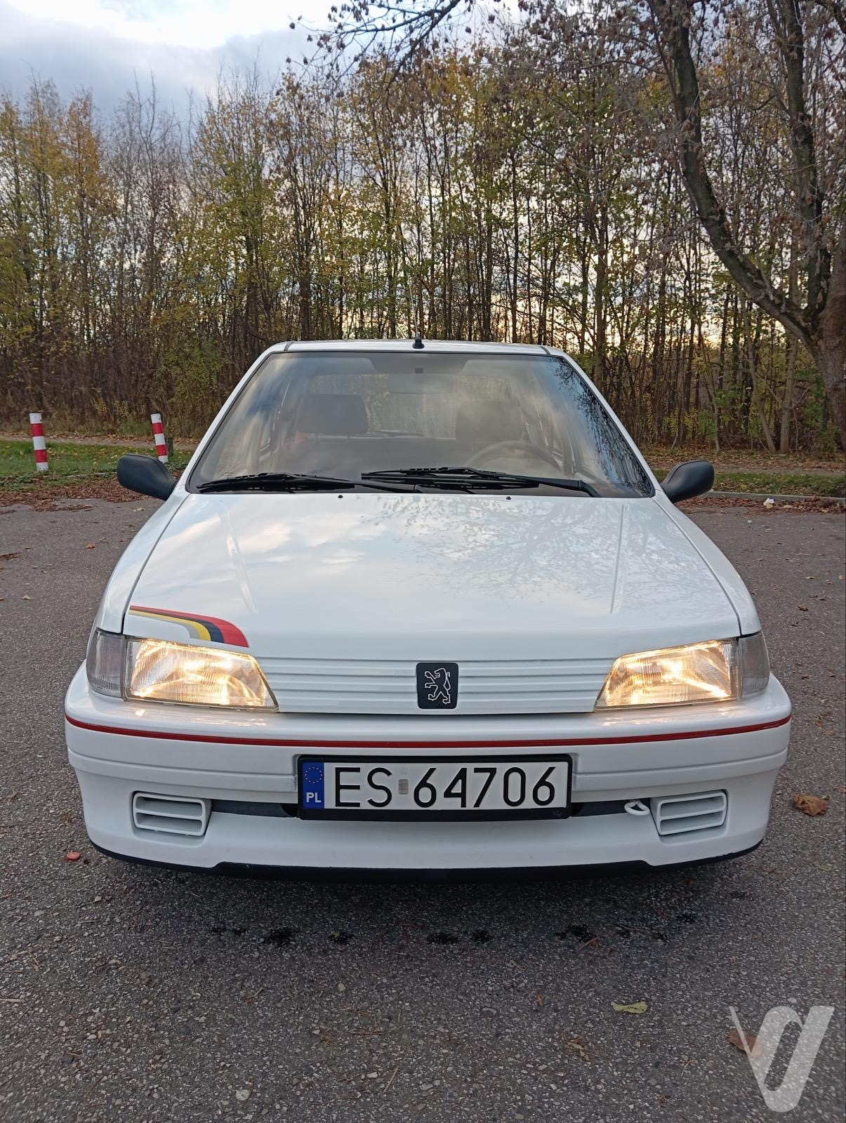 Główne zdjęcie Peugeot 106 (1994)